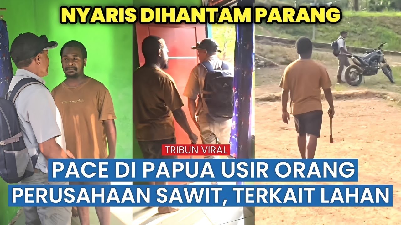 Aksi Heroik! Distrik Moisegen Lawan Perusahaan Sawit, Pertahankan Tanah Adat