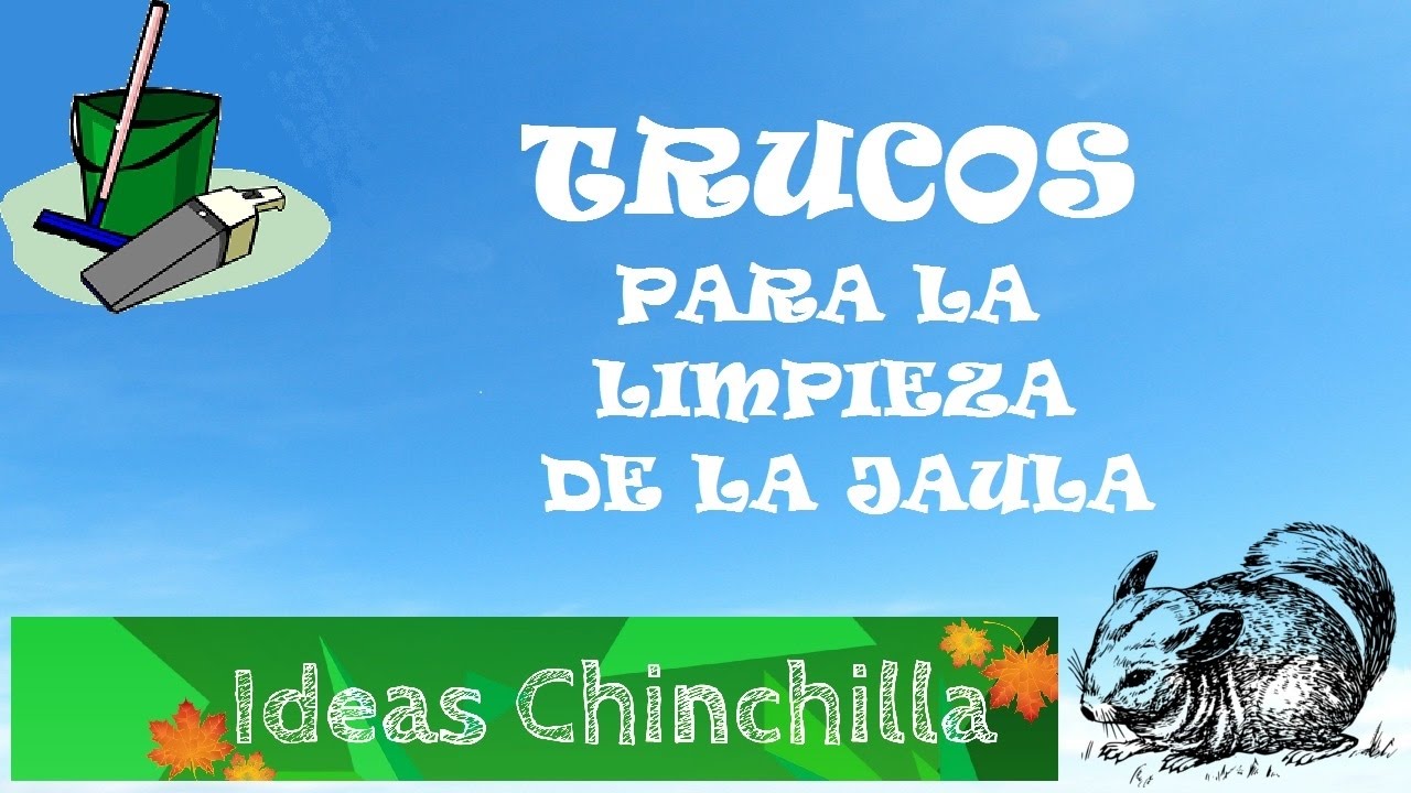 Trucos para la limpieza de la jaula