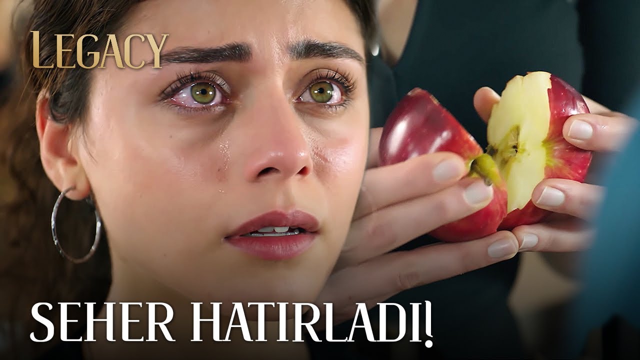 Seher hatırladı! | Emanet 350. Bölüm