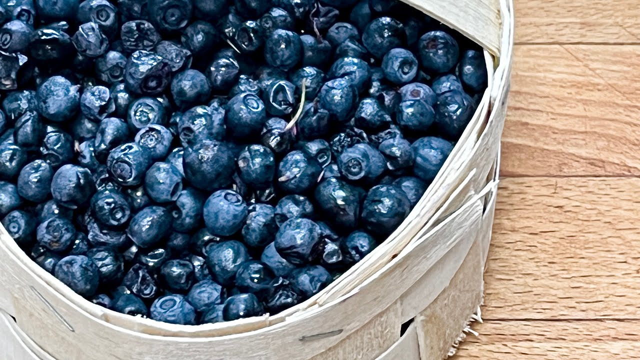 Heidelbeeren Marmelade, Heidelbeer Konfitüre selber machen, Rezept einkochen Heidelbeermarmelade