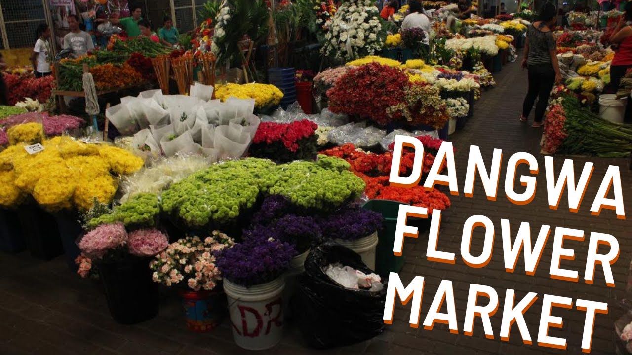 Fresh & Dried Flowers in Dangwa Shopping Guide 2022 | Bulaklakan ng Maynila | The Everett's Academe