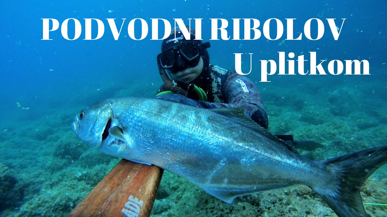 Podvodni ribolov u plitkom