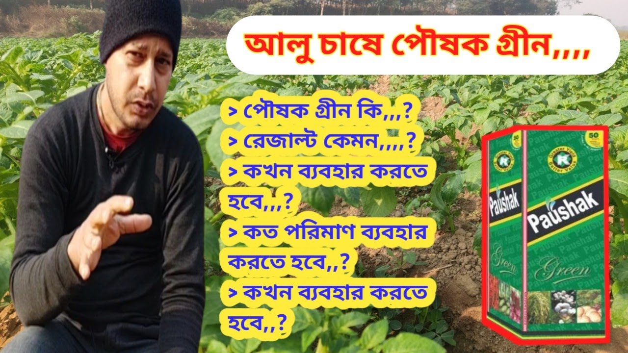 আলুতে পৌষক গ্রীন ব্যবহার || ফলন হবে কয়েক গুণ || Poushak Green PGR ,,,