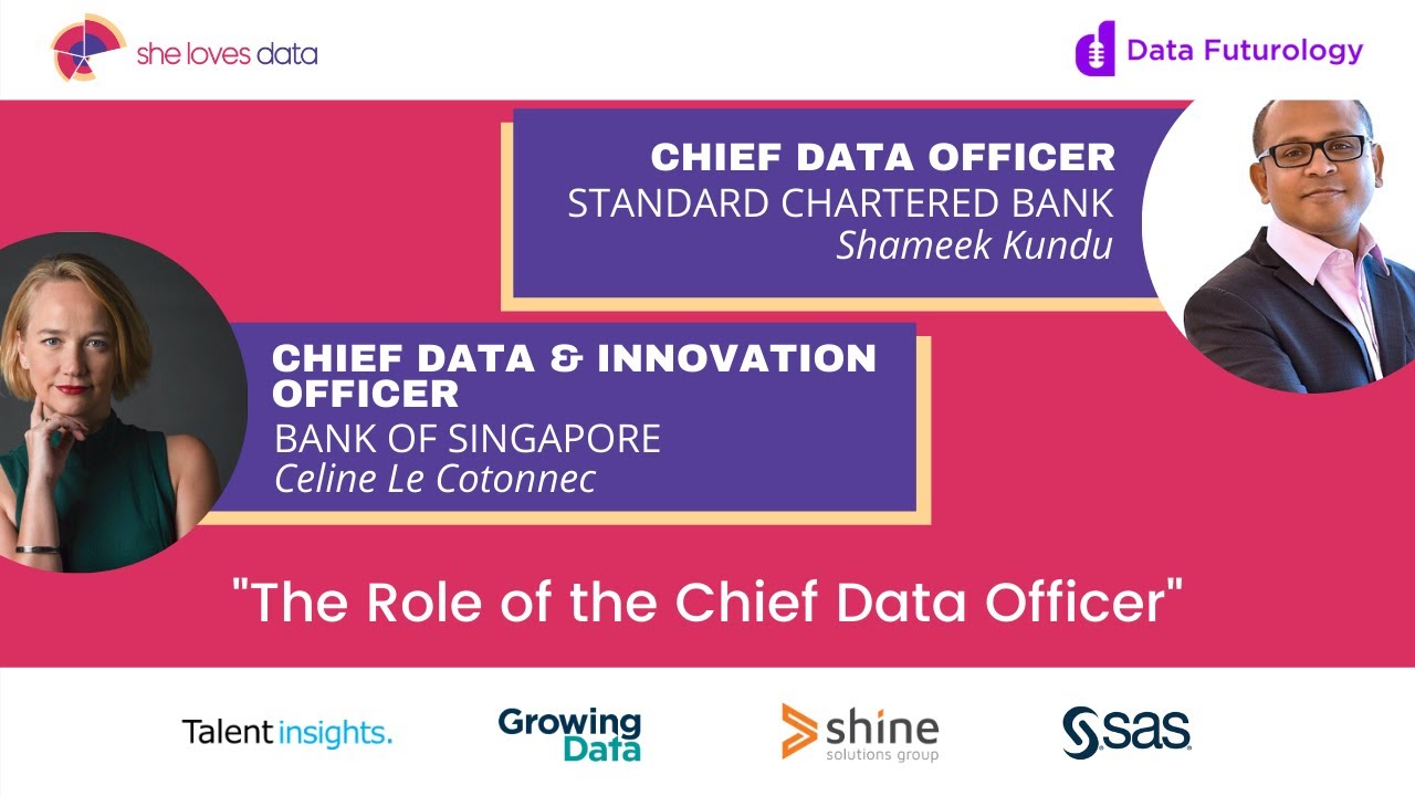 The Role of the Chief Data Officer