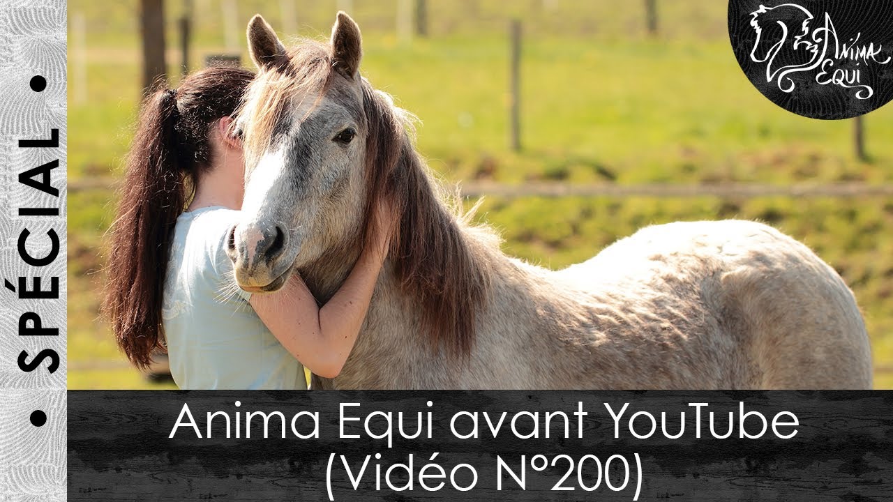• SPÉCIAL • Anima Equi avant YouTube (Vidéo N°200)