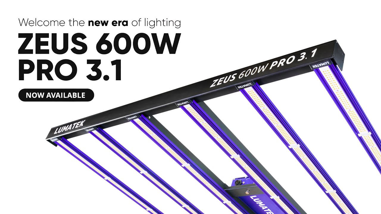LUMATEK EU | ZEUS 600W PRO 3.1 LED