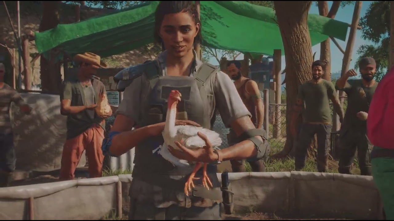 A far cry from chicken fight