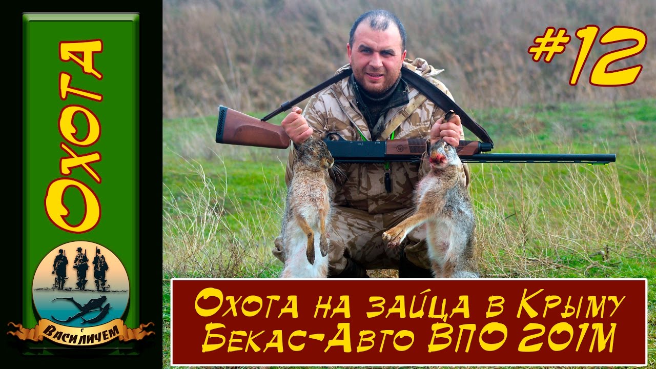 Охота на зайца сезон 2016 2017  Бекас Авто ВПО 201 М