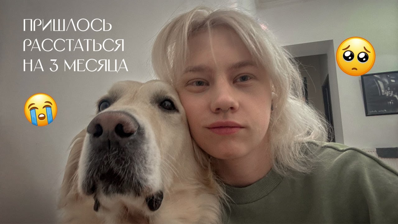 Перелёт с собакой. 7 шагов, которые вы должны знать.
