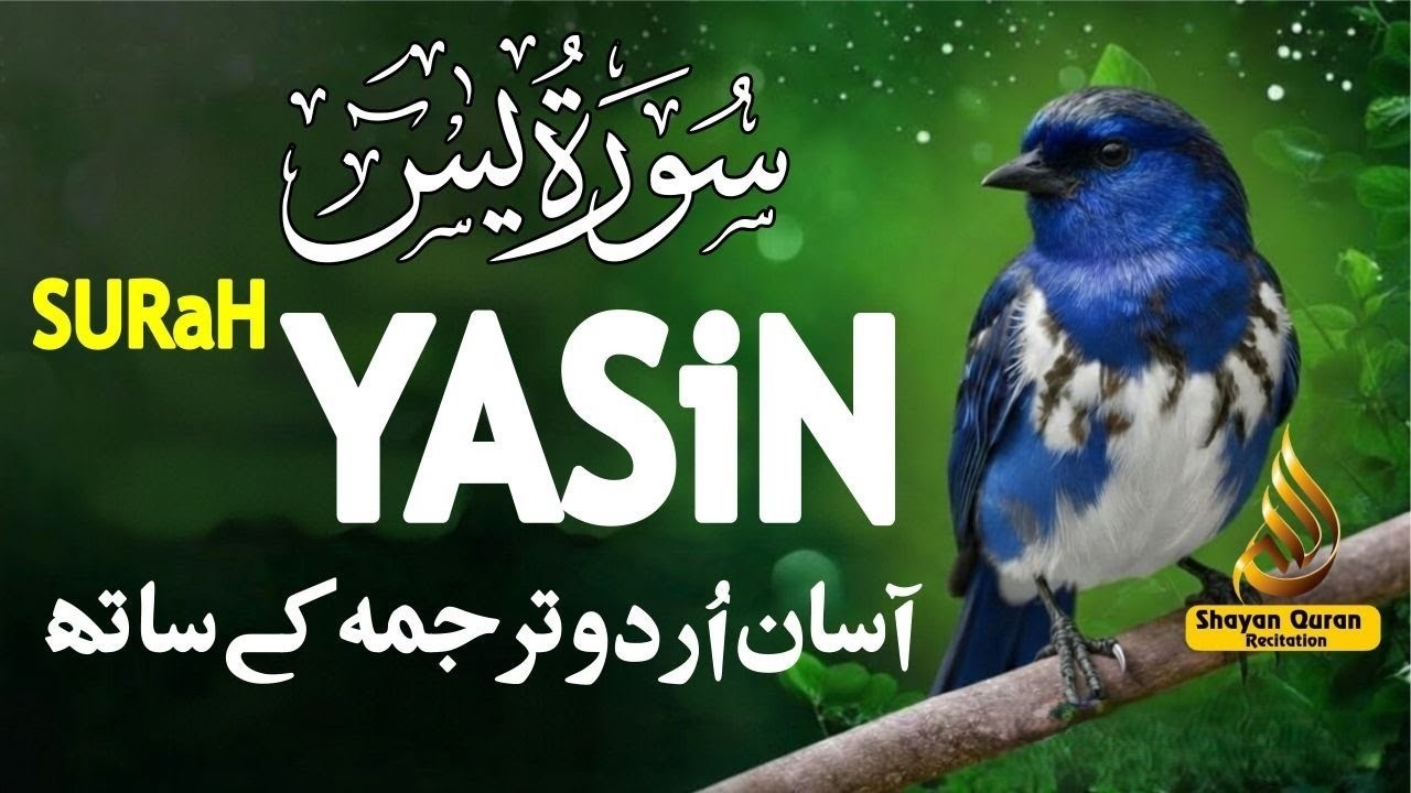 Surah Yasin Full with Urdu & Hindi Translation | Heart of Quran | سورة يس | Qari Mansoor Ghzanavi