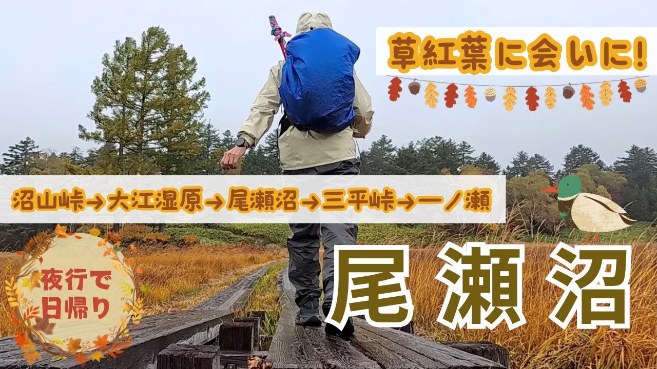 【Vlog.草紅葉の尾瀬沼】初めての秋の尾瀬です🍁