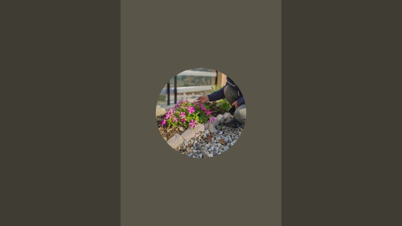 Garden set up and winter flowering repotting live