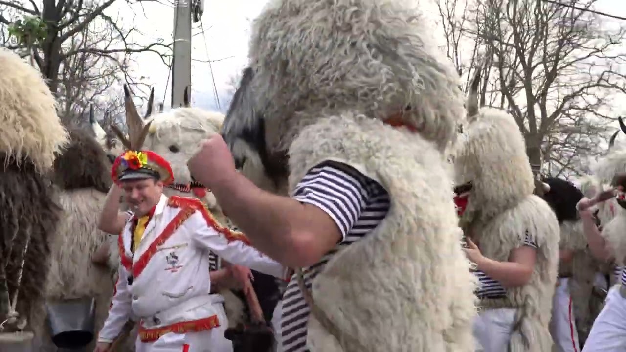 Halubajski zvončari, ophod 2026. zvončarsko kolo, Milohni- The Halubian Bell Ringers 2026.