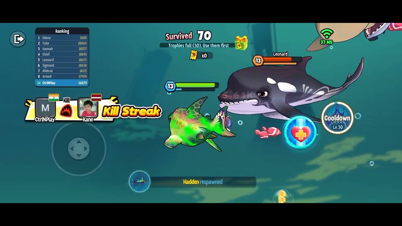 Fishdom 🐠Video [60.4] Hungry Fishs Gameplay | Ads Mini Games New Update 2025 