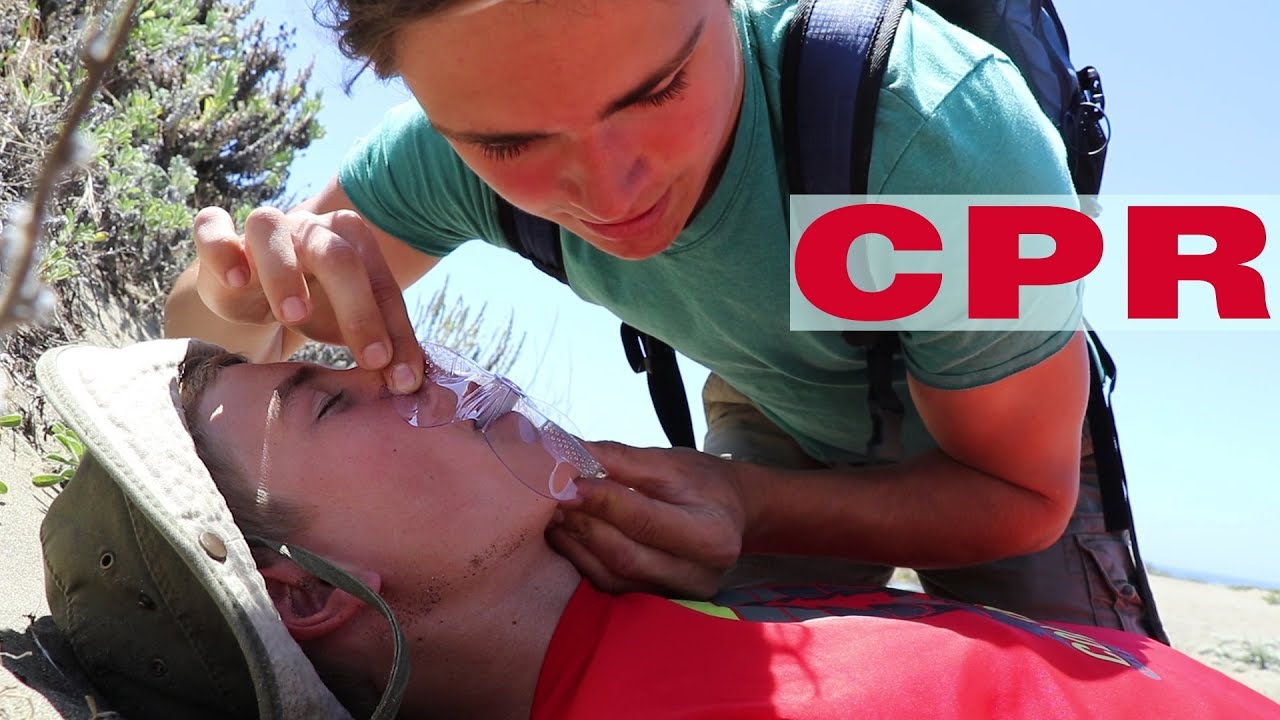 WILDsides: How to Perform CPR on Jack