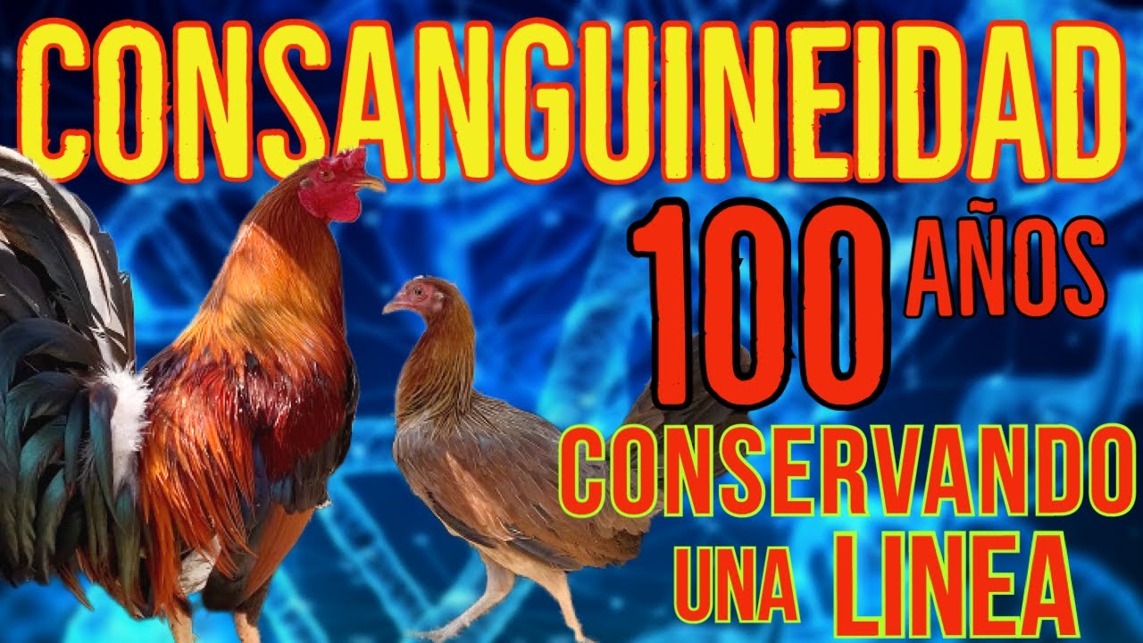 CONSERVANDO UNA LINEA POR 100 AÑOS....como lo podemos hacer???