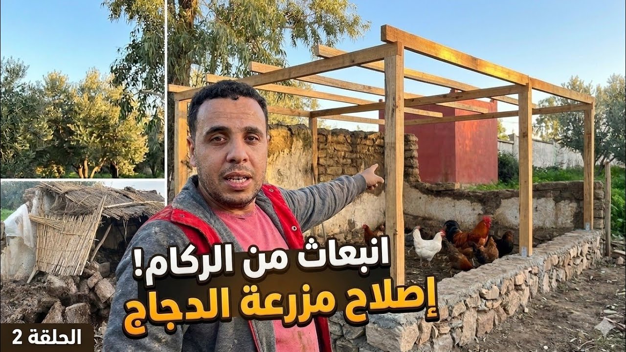 إصلاح مزرعة الدجاج (الجزء 2): بناء الحيطان وتثبيت السقف 🛠️🛠️