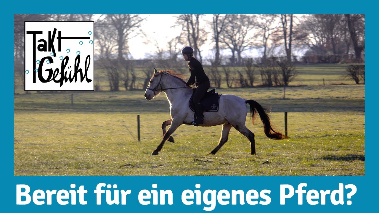 Eigenes Pferd - Was es bedeutet ein Pferd zu haben
