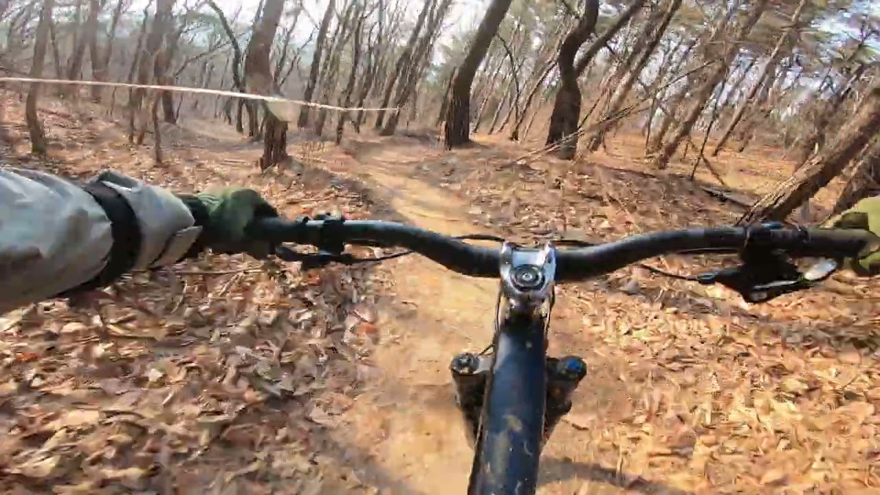 장군 gt 26.1.4