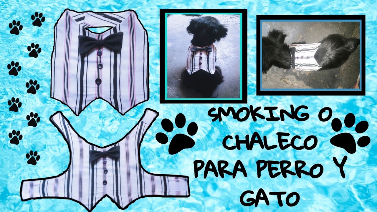 SMOKING O CHALECO PARA PERRO Y GATO 🐶😸 - ropa para perro 🐕