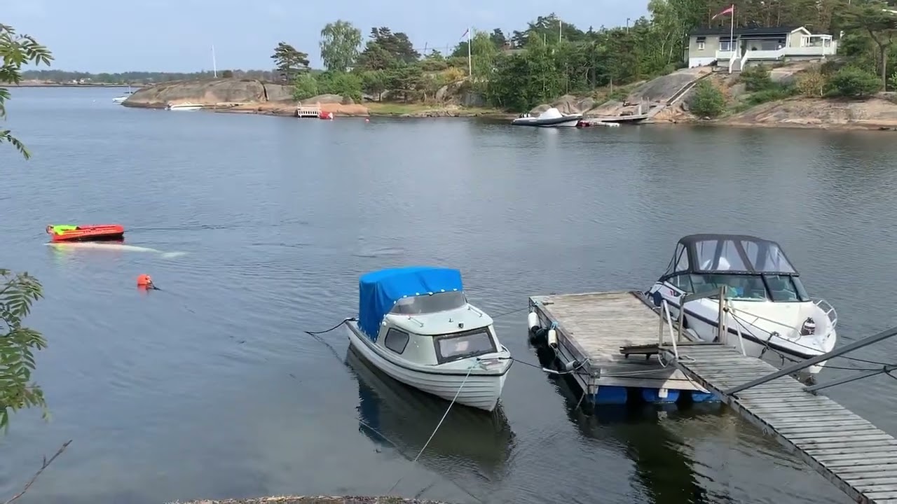 Hvaldimir follows OneWhale out of busy harbor with Directorate of Fisheries Jun 20 | OneWhale.org