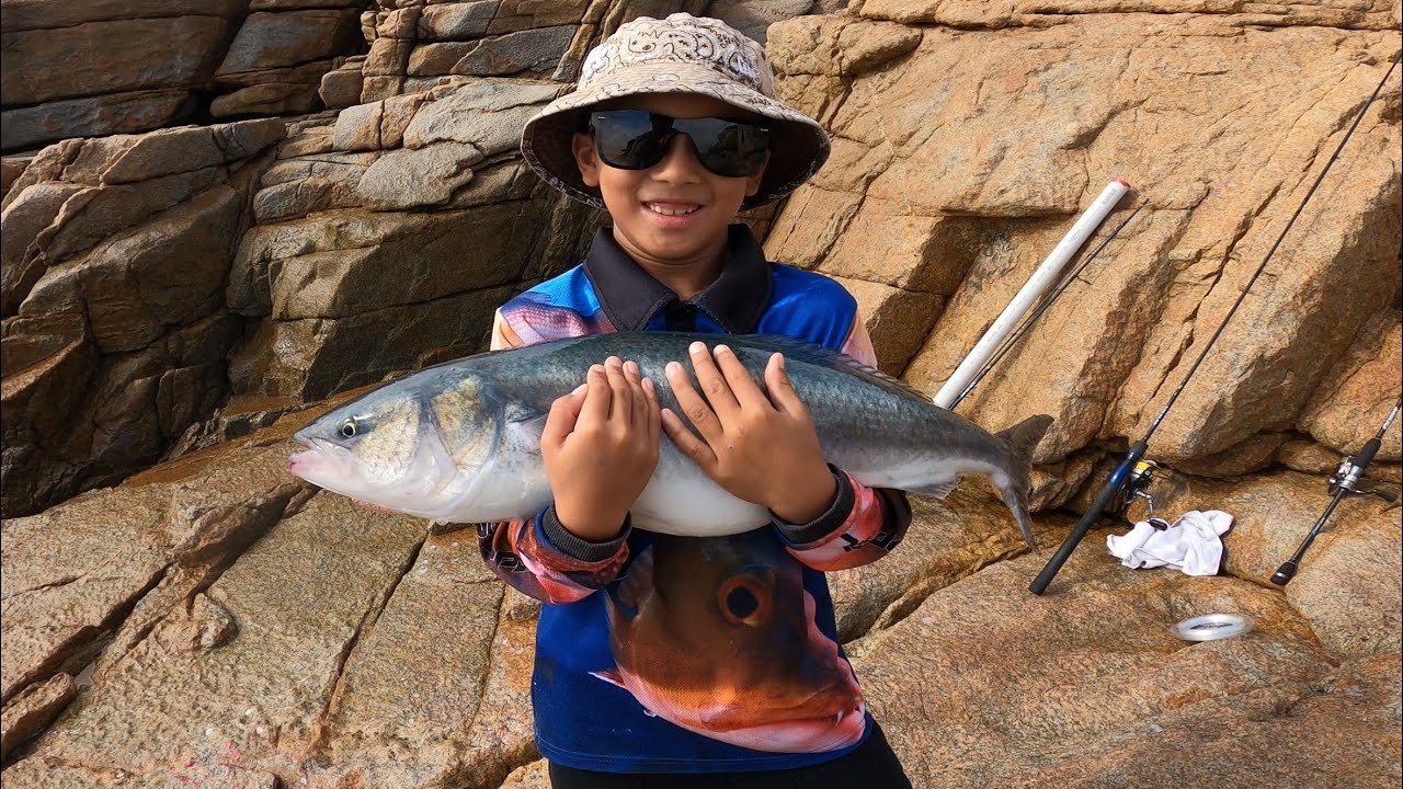 SALMON MAYHEM | Fishing For Big Aussie Salmon Off The South Coast Rocks!!