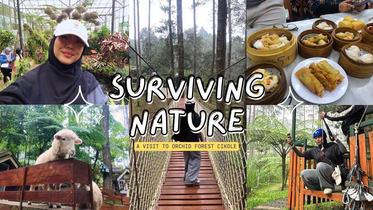 RAINED ON at Orchid Forest Cikole, Must Try Dim Sum Sembilan Ayam, & Grocery Haul | Bandung Vlog