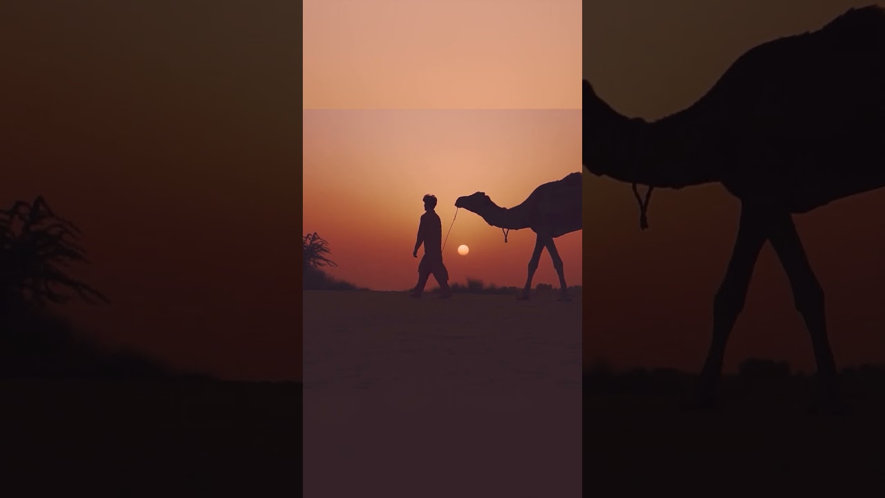 Real animal sounds | Реальные звуки животных 55