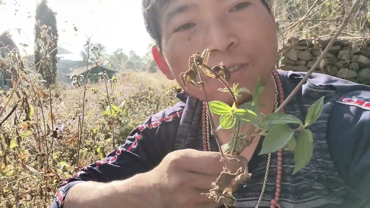 Aa yo naya videos ☘️☘️☘️☘️☘️☘️☘️🙏🙏🙏🙏🙏