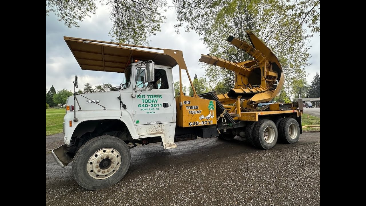 Tree Spade in Action—Transplanting a Large Tree