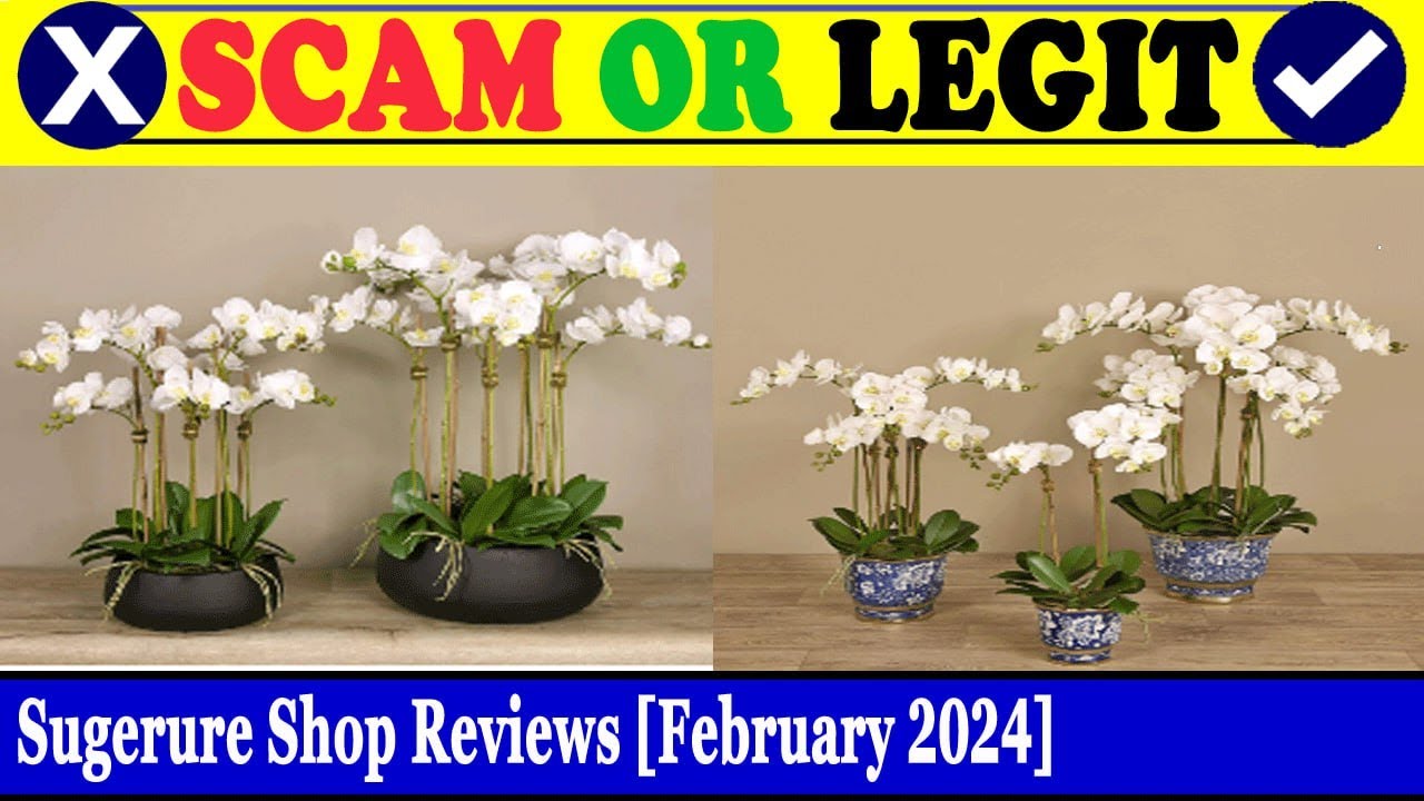 Sugerure Shop Reviews (Feb 2024) - Does This Seem Like A Legit Website? Find Out! | Scam Inspecter