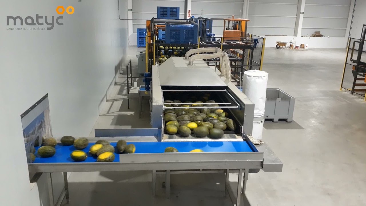 MELONES Y SANDIAS