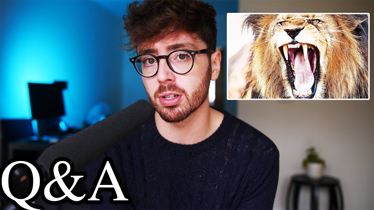 Q&A: Killing Predators? Am I Single? What Most Helps Animals?