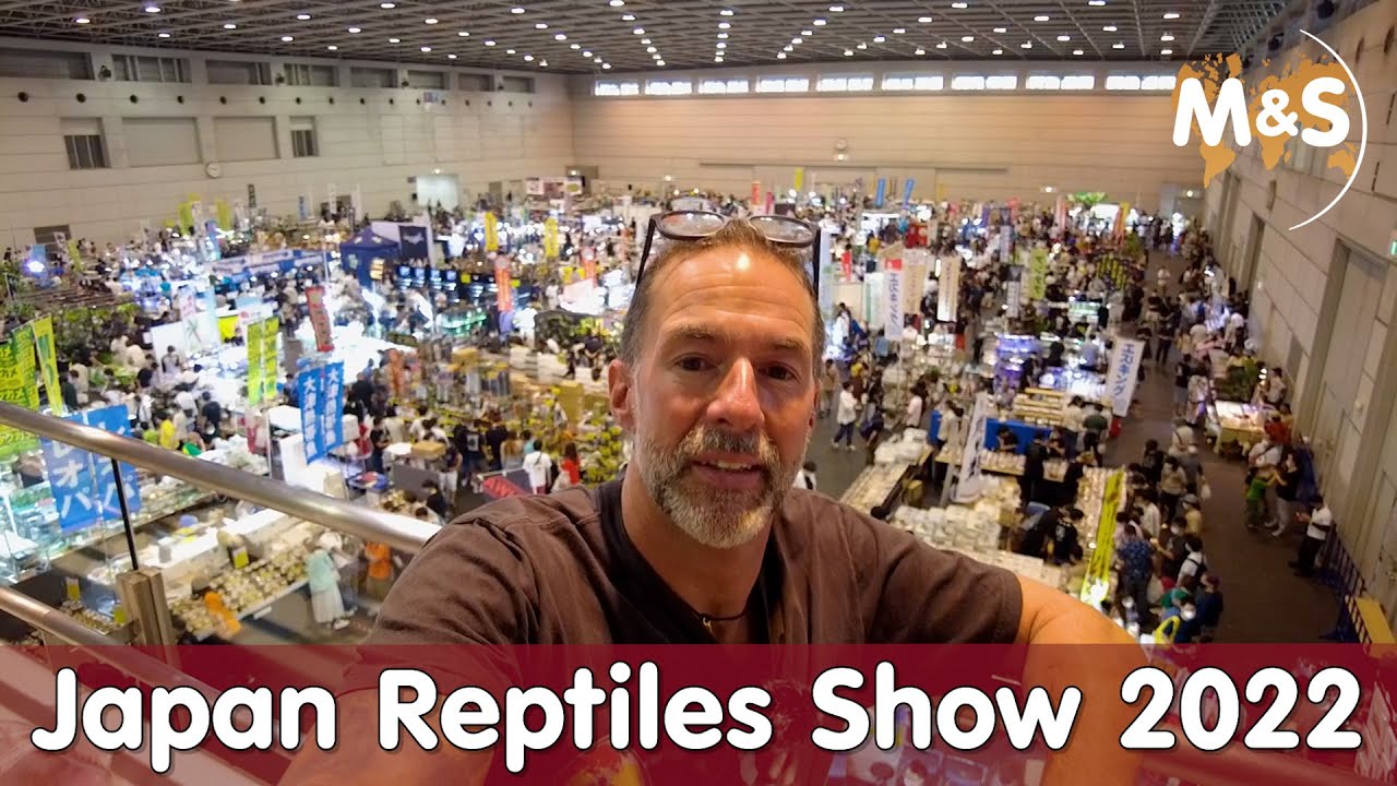 Japan Reptiles Show 2022 | Reptilien