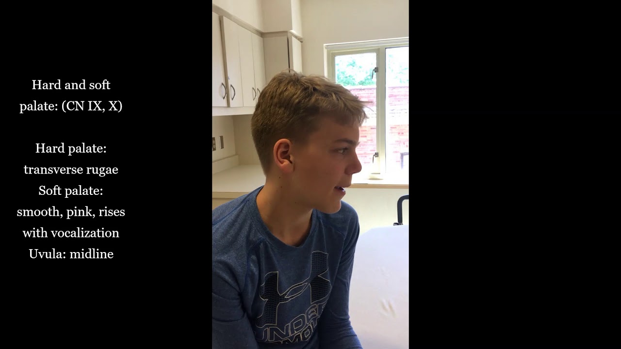 Mouth and Throat Assessment