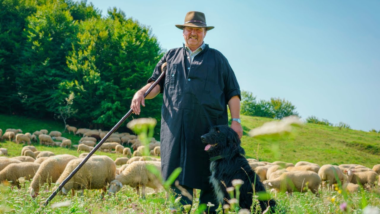 Die Wanderschäferei auf der Schwäbischen Alb - Schäfer Gerhard Stotz erzählt
