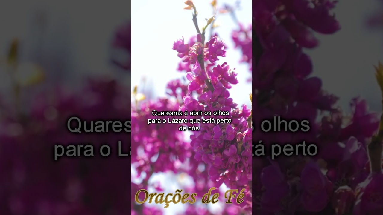 Quaresma dia 14 - @oracoesdefe