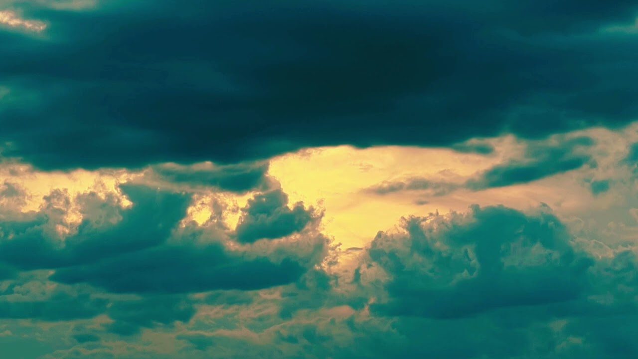 tommyvinylz - phone