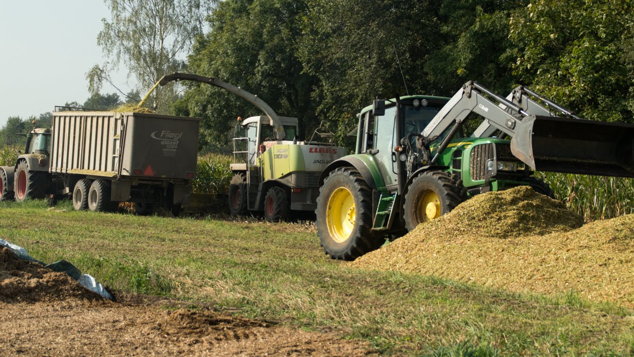 Profesjonalne Koszenie Kukurydzy 2014 Fendt, Claas, Fliegl, ZabrockiAgro