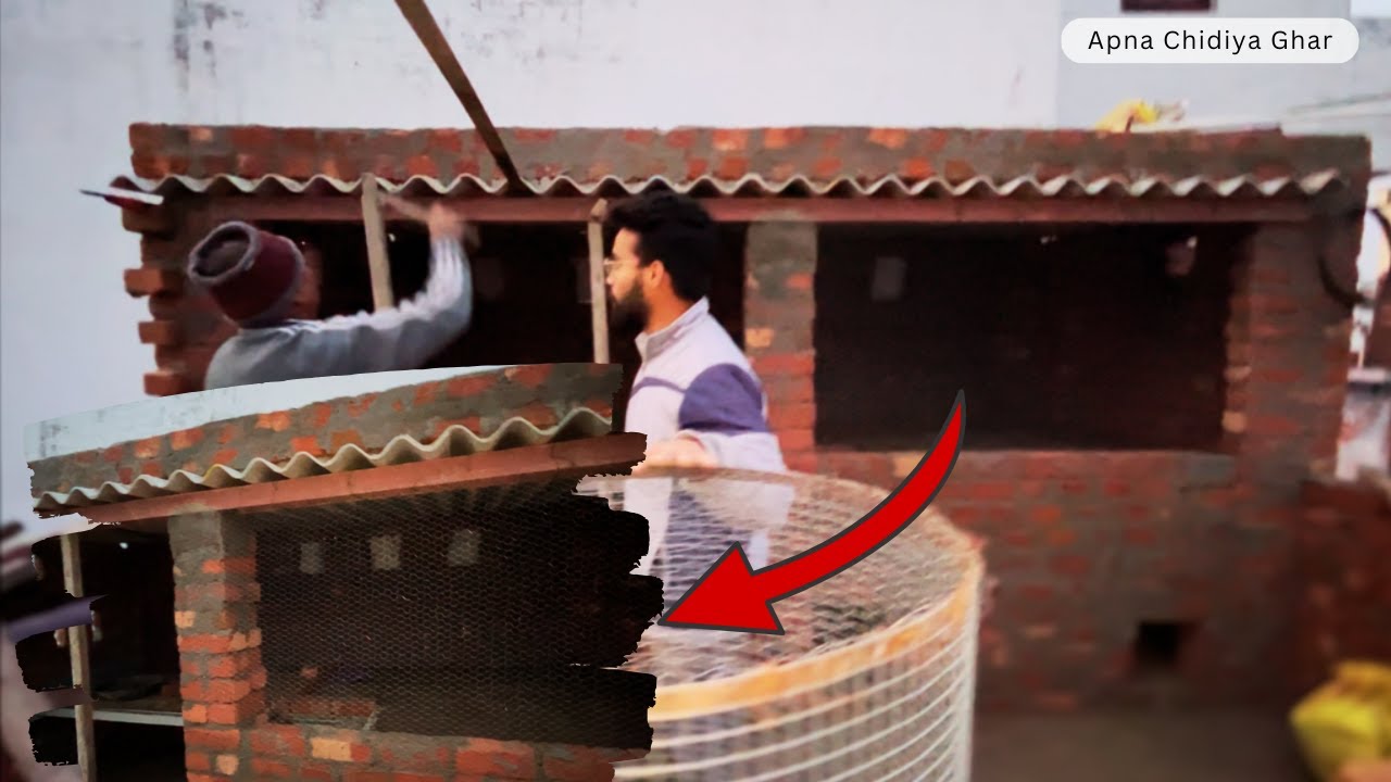 Pets Room Construction Work in Progress 🏠 | Apna Chidiya Ghar