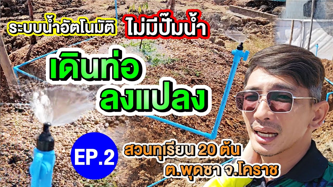 EP. 2 วางท่อเมนย่อยและท่อย่อยในสวนทุเรียน 20 ต้น