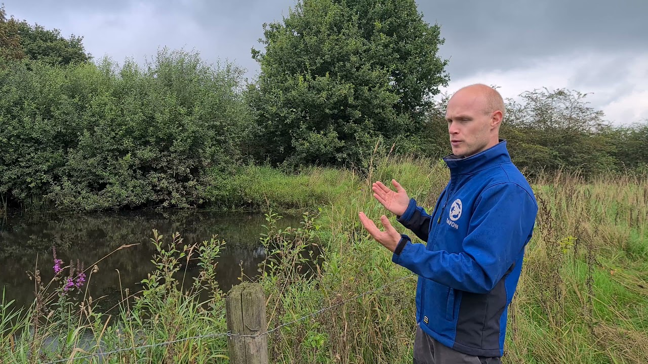 Poelenbeheer in Nederland: kikkerpoelen