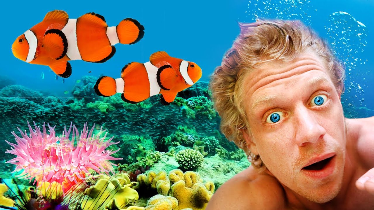 You Wont Believe What I Saw In The Ocean. (Nakupenda Zanzibar, Tanzania)