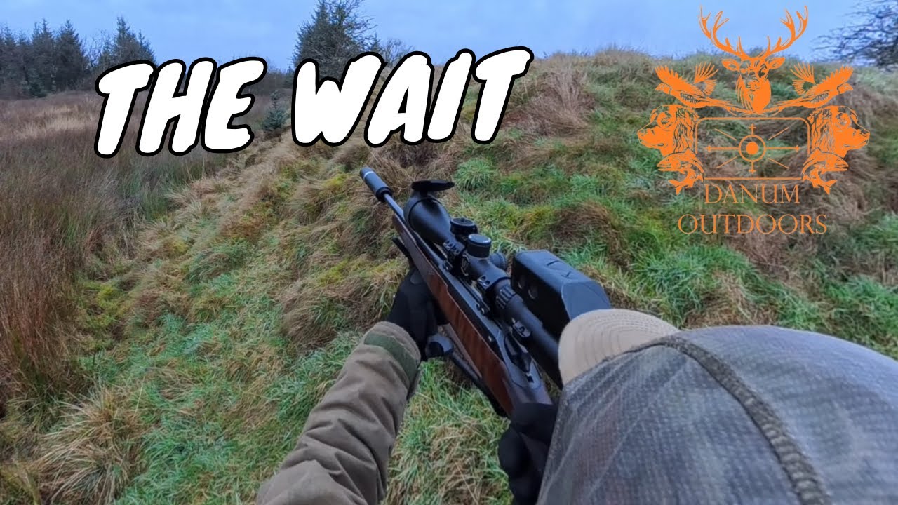 Deer Stalking: The Wait.
