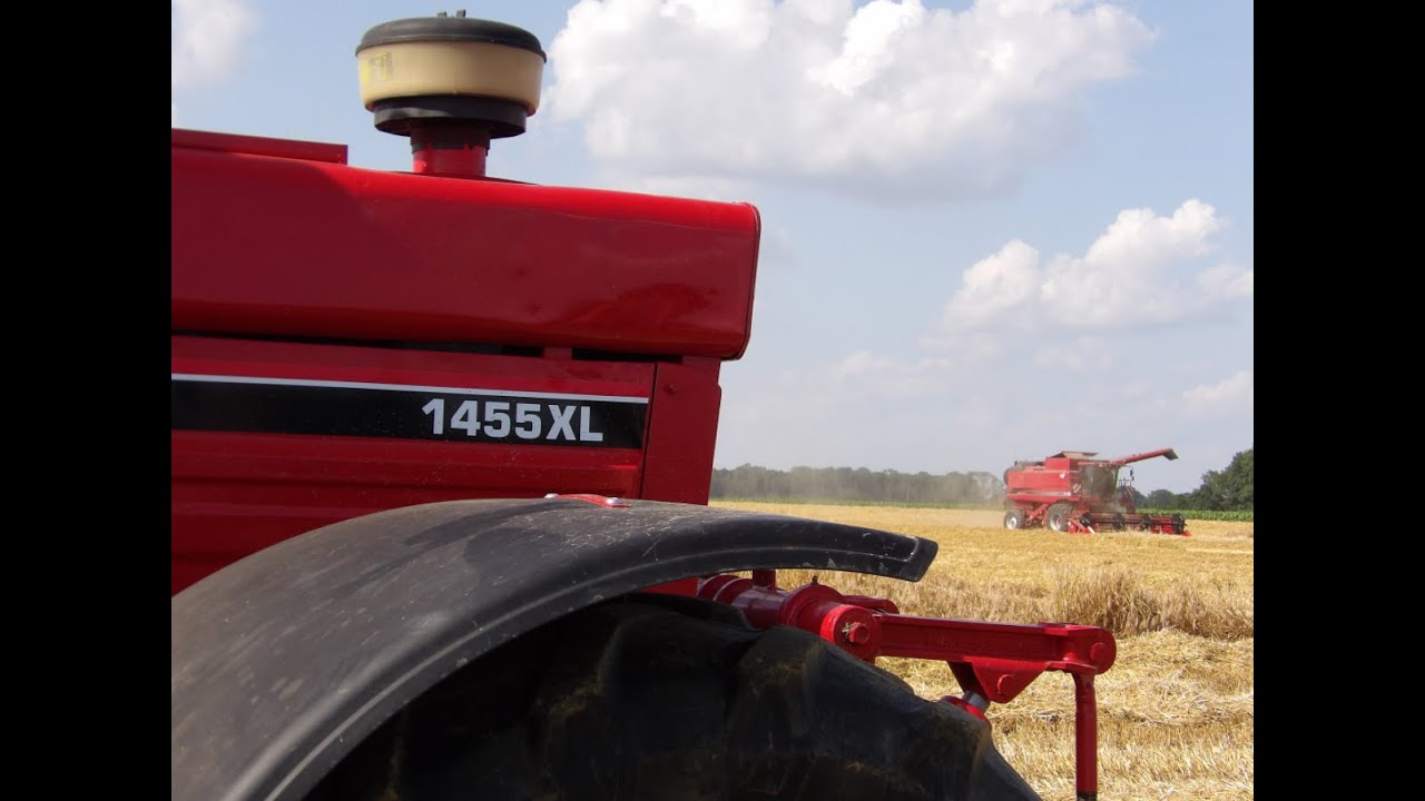 IH 1455 XL  & Case Axial Flow 2388 - les moissons commencent fort ! 🚜🌾🚨