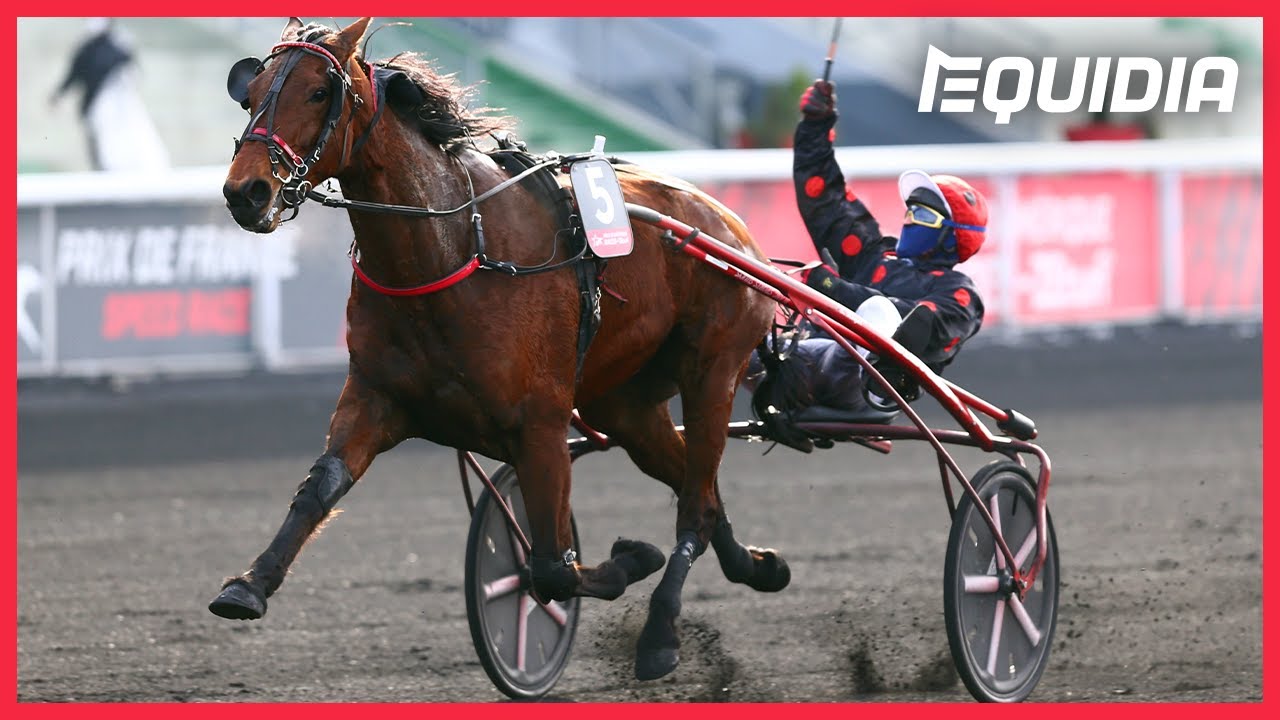 DÉLIA DU POMMEREUX, LA CONSÉCRATION ! | Prix de France - Zeturf Speed Race | Groupe 1 | Vincennes