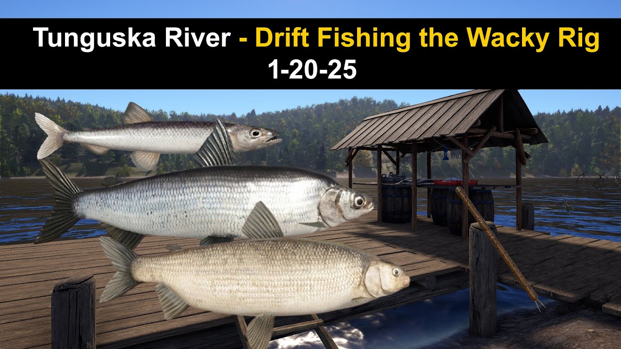 Russian Fishing 4,  Tunguska River - Drift Fishing the Wacky Rig 1-20-25