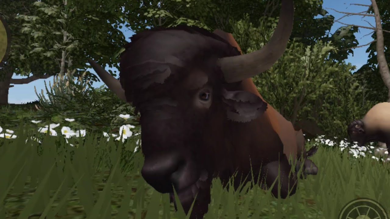 ECOS LA BREA : Ashmar, King of the Bison، Power and wisdom in bull 