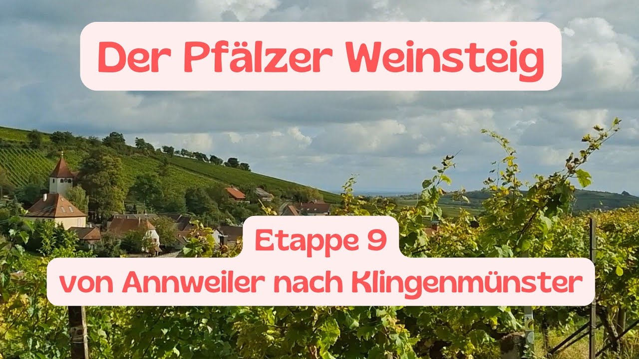 Der Pfälzer Weinsteig | Etappe 09 Annweiler am Trifels - Klingenmünster | September 2024