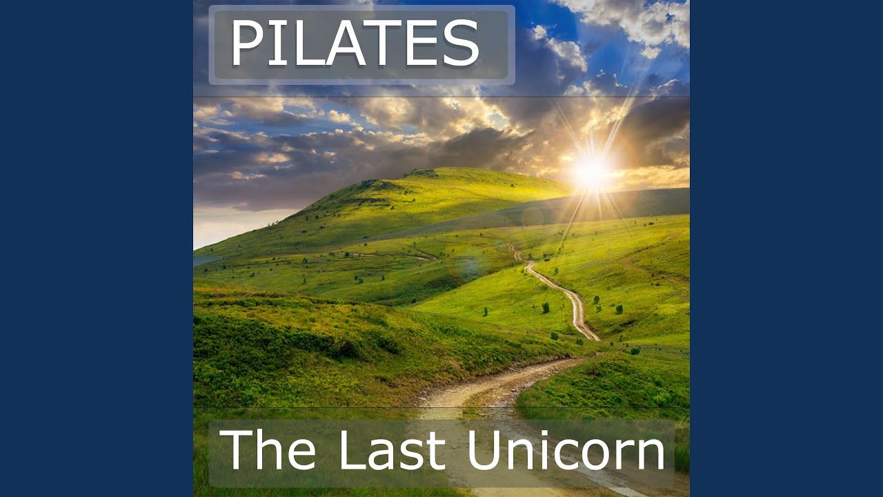 The Last Unicorn (Violin Cover)